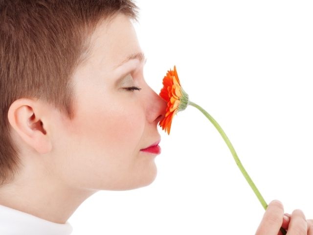 Why People with COVID Lose Their Sense of Smell