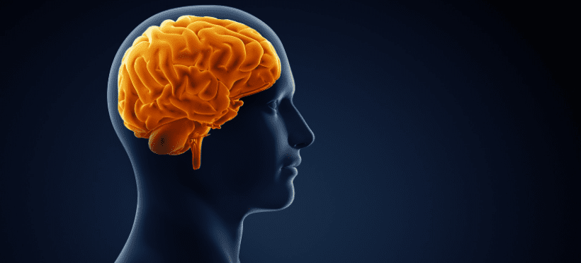 Schizophrenia Study May Lead to New Innovative Solutions