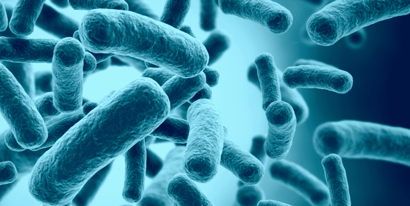 Researchers Discover Protein May Block Nauseating Bacteria Researchers Discover Protein May Block Nauseating Bacteria