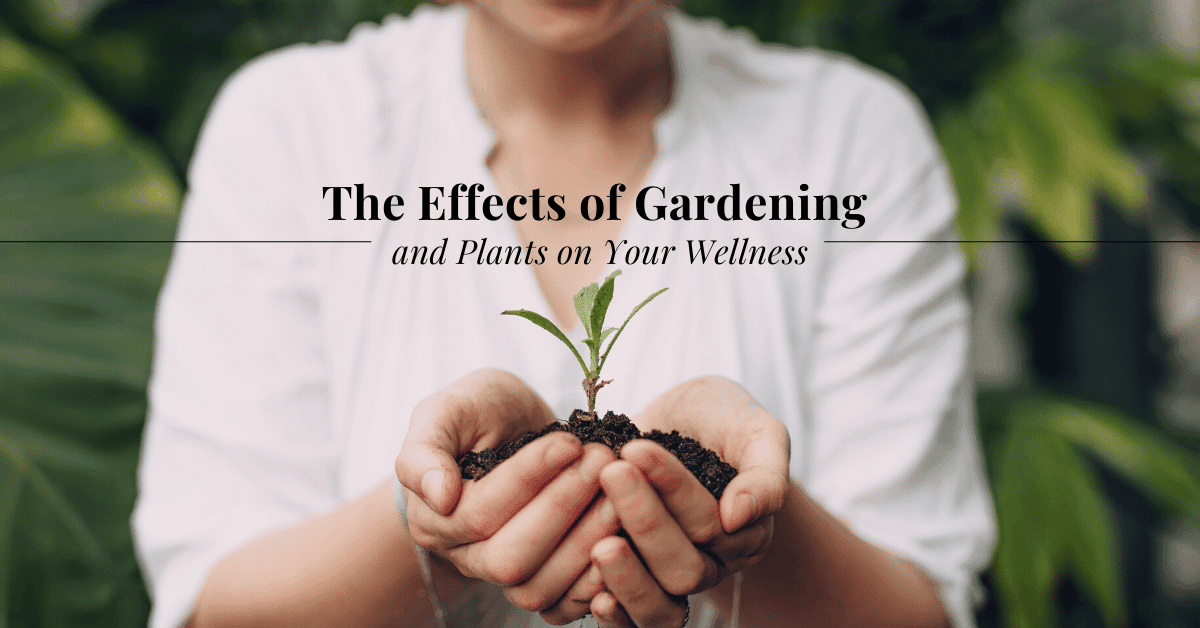 The Effects of Gardening and Plants on Your Wellness