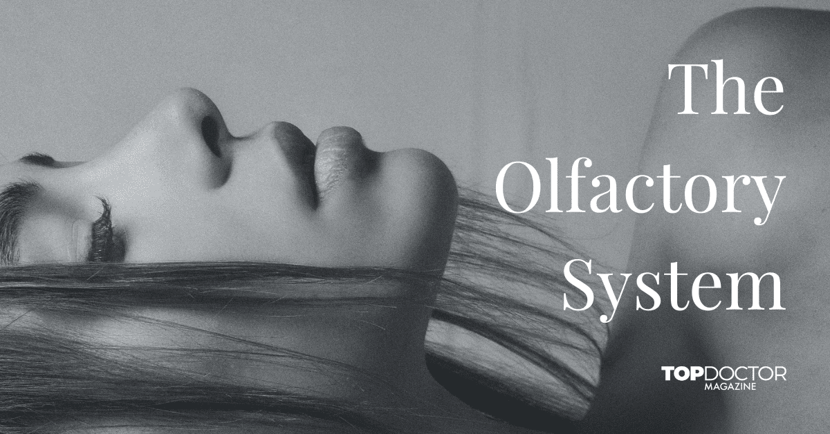 The Olfactory System Is Our Body's Natural Warning System