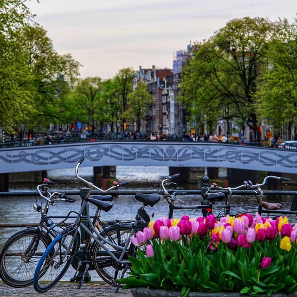 bicycles and tuplis along amsterdam canal