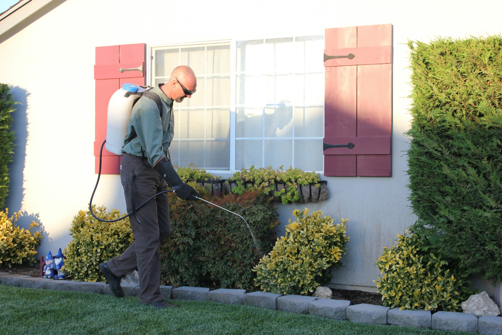 Pest control worker treating the exterior of a house