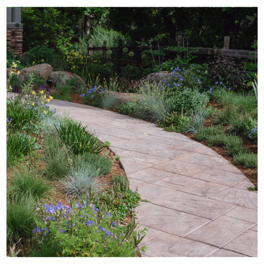 Curved stone paver pathway winding through a lush landscaped garden with ornamental grasses, purple and yellow flowers, and a wooden fence